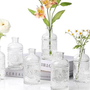 Glass Bud Vases – Apothecary Style, Rustic Wedding Table Decor, Single Stem Display