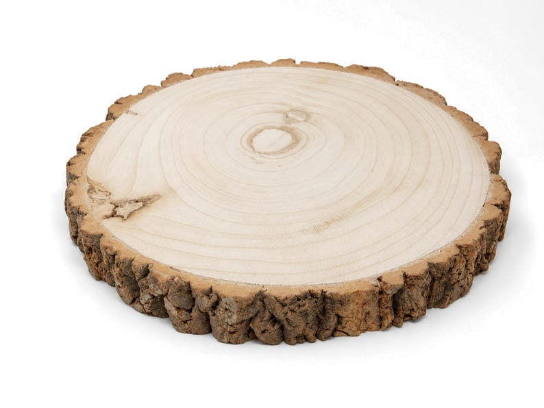 May include: A circular wooden slice featuring a light-colored, smooth sanded top surface with visible natural grain patterns and a dark, textured bark edge. The piece displays a clear center ring and a small knot on the left side of the surface.