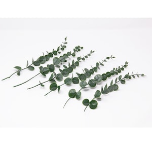 May include: A collection of artificial eucalyptus stems, each with dark green, rounded leaves, are displayed on a white backdrop. The stems are thin and feature small, regularly spaced leaves, offering a natural, botanical appearance.