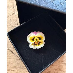 May include: A small, colorful pansy flower with white, yellow, and purple petals rests in a black box. The flower's center features dark brown markings. The box is open, revealing a textured, blue lid.