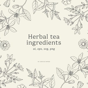 HERBAL TEA & INFUSIONS | Hand-drawn Line Art Botanical Illustrations, Herbs, Medicinal Plants, Png Clipart, Svg Clipart, Vector Clipart