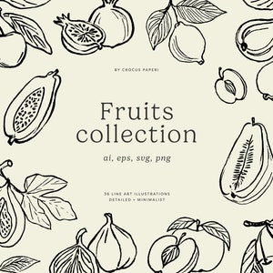 FRUITS COLLECTION | Hand-drawn Line Art Fruits Illustrations, Orange, Lemon, Fig, Pomegranate, Png Clipart, Svg Clipart, Vector Clipart