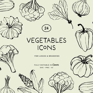 Vegetable Line Art Illustrations | Food Clipart (PNG, SVG)