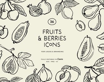 Hand-Drawn Fruits Line Art Illustrations: Png, Svg, Vector Clipart
