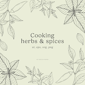 COOKING HERBS | Hand-drawn Line Art Plants Illustrations, Culinary Plants, Spices, Hand drawn, Png Clipart, Svg Clipart, Vector Clipart