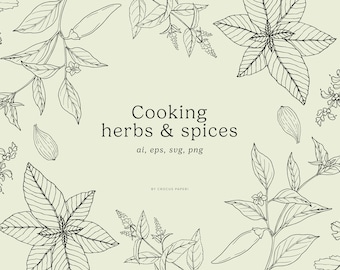 Hand-Drawn Cooking Herbs Line Art: Culinary Plants Clipart (PNG, SVG)
