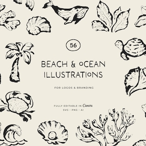 Ocean Line Art Illustrations: Sea Creatures, Shells (PNG, SVG)