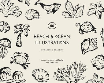 Ilustrações de arte oceânica: criaturas marinhas, conchas (PNG, SVG)