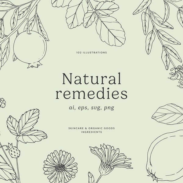 NATURAL REMEDIES | Hand-drawn Line Art Plants Illustrations, Healing Herbs, Skincare Ingredients, Png Clipart, Svg Clipart, Vector Clipart