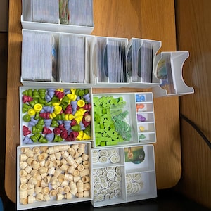 May include: White plastic storage containers filled with various game pieces, including wooden tokens, green and yellow plastic tiles, and colourful plastic pieces. The containers are organised on a wooden table.