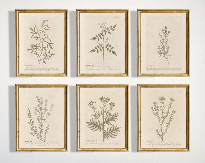 Anatomy Print Set of 6 Human Anatomy Poster Floral Medical Wall Art ...