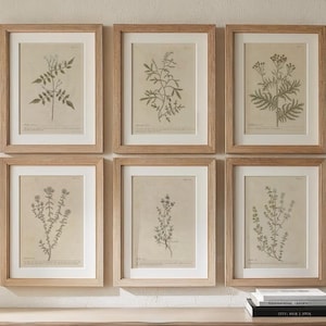 以下が含まれることがあります： 明るい木製フレームに入った6つの植物画。各プリントには、グレーとベージュの色合いで植物の詳細なイラストが描かれています。プリントは壁にグリッド状に配置され、まとまりのあるディスプレイを作成しています。
