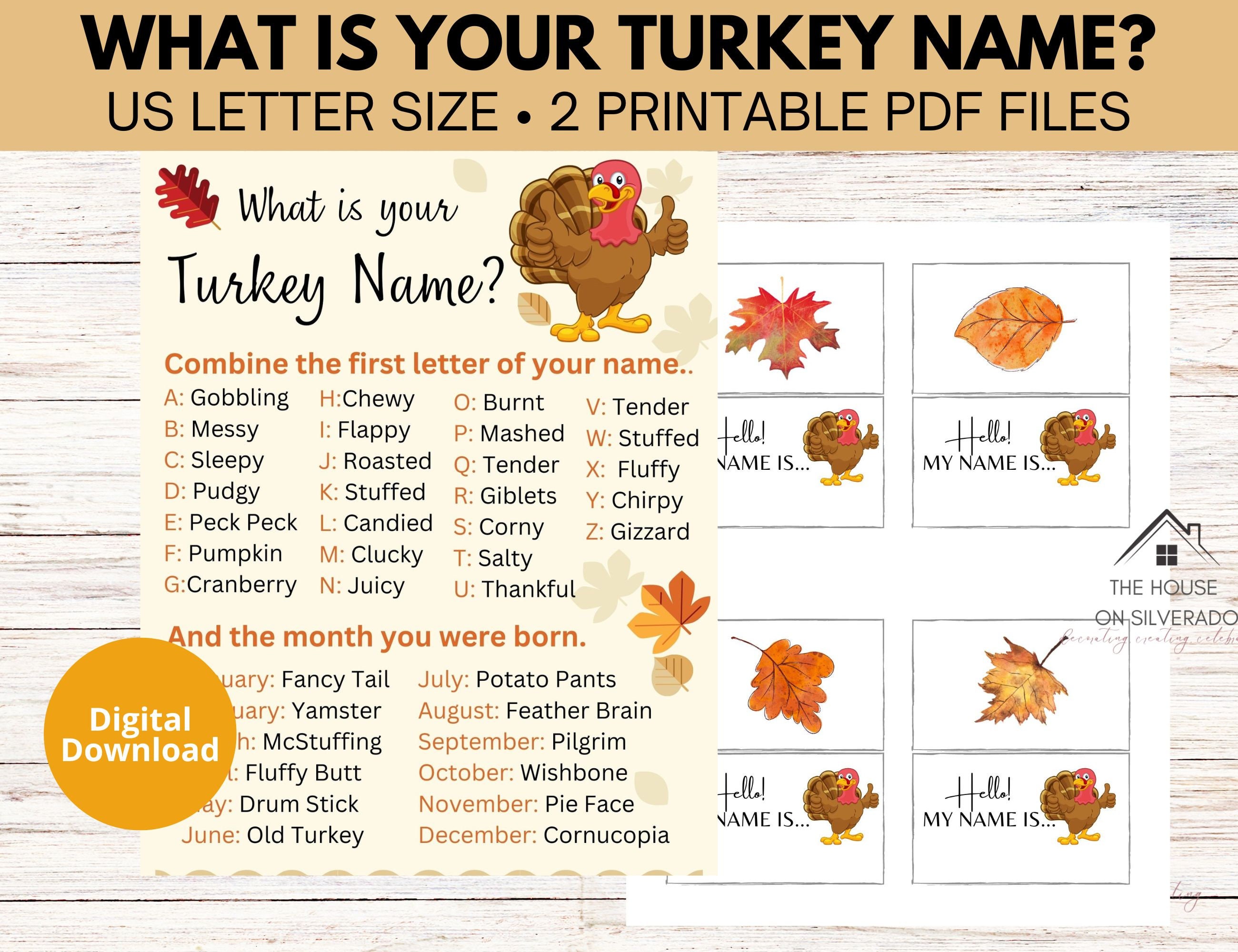 Thanksgiving place card ideas creative