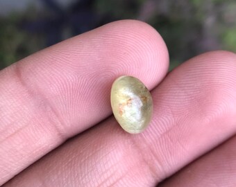 Natürliches Katzenauge Chrysoberyll-Katzenauge 5 cts 11X7X7 mm - Erde abgebauter Chrysoberyll-Lose Edelstein für Schmuckherstellungen