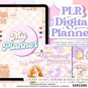 PLR Undated Digital Planner: Canva Editable Template with Resell Rights