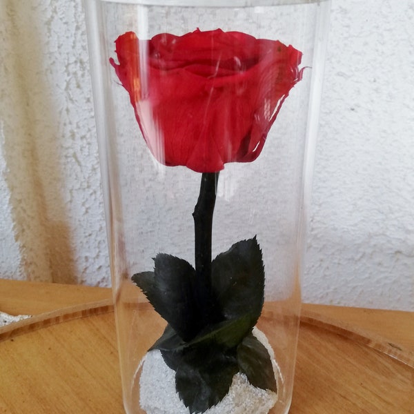 Rose éternelle dans vase transparent Fête des Mères