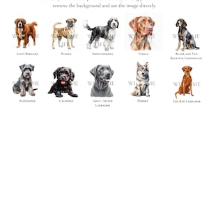 Personalisiertes Hundebriefpapier / Briefpapier | Wähle Deine Hunderasse | Benutzerdefinierte Canine Grußkarten | Hundeliebhaber Geschenk | Möglichkeit, mehrere Hunde hinzuzufügen Bild 9