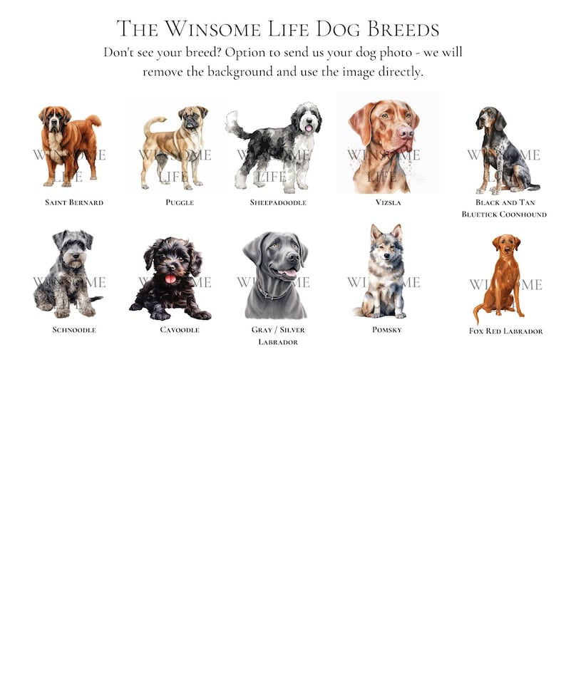 Personalisiertes Hundebriefpapier / Briefpapier | Wähle Deine Hunderasse | Benutzerdefinierte Canine Grußkarten | Hundeliebhaber Geschenk | Möglichkeit, mehrere Hunde hinzuzufügen Bild 9