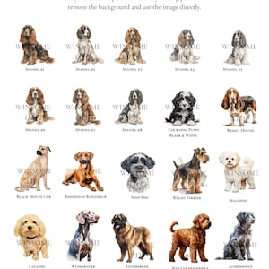 Personalisiertes Hundebriefpapier / Briefpapier | Wähle Deine Hunderasse | Benutzerdefinierte Canine Grußkarten | Hundeliebhaber Geschenk | Möglichkeit, mehrere Hunde hinzuzufügen Bild 8