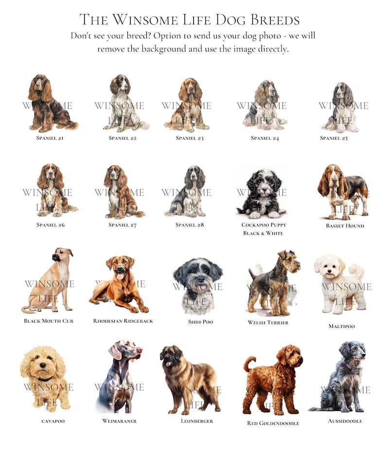 Personalisiertes Hundebriefpapier / Briefpapier | Wähle Deine Hunderasse | Benutzerdefinierte Canine Grußkarten | Hundeliebhaber Geschenk | Möglichkeit, mehrere Hunde hinzuzufügen Bild 8