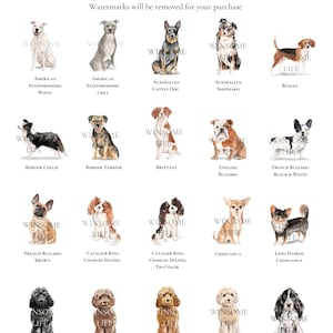 Australian cattle dog, beagle, border collie, bulldog, spaniel, chihuahua, cockapoo, french bulldog, australian shepherd, american staffordshire, brittany, border terrier, cavalier king charles spaniel, english bulldog, cocker spaniel dogs