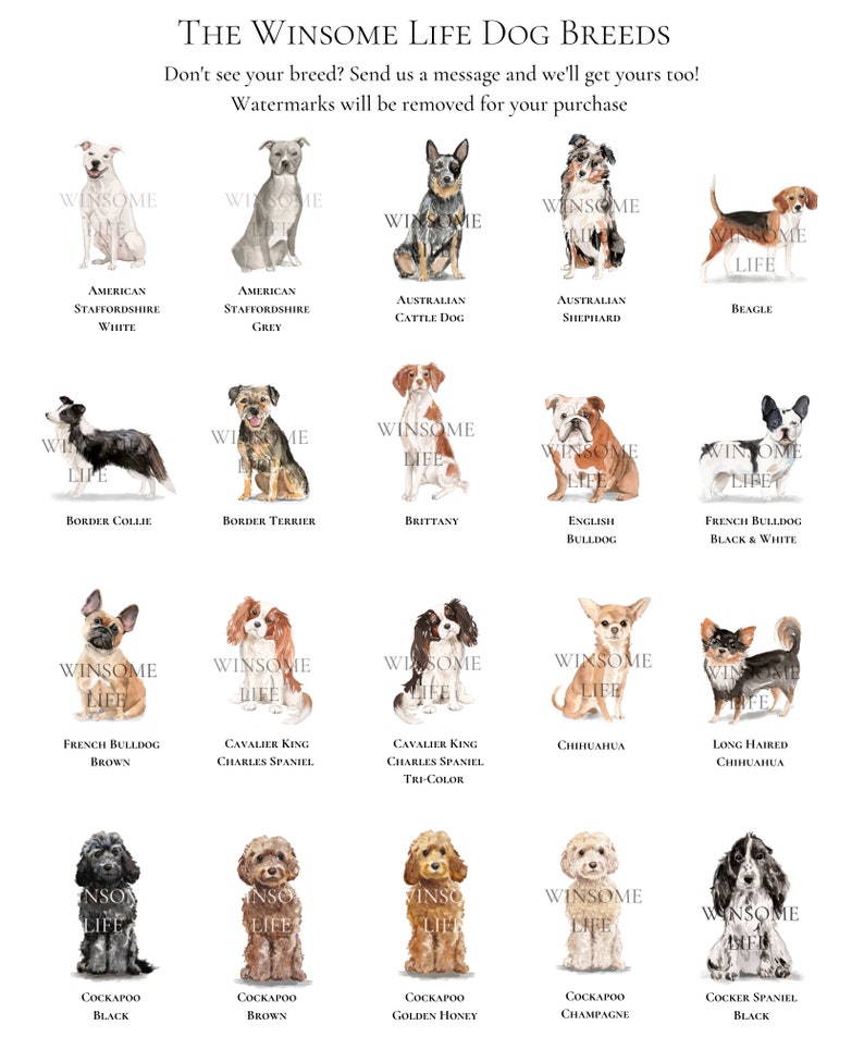 Australian cattle dog, beagle, border collie, bulldog, spaniel, chihuahua, cockapoo, french bulldog, australian shepherd, american staffordshire, brittany, border terrier, cavalier king charles spaniel, english bulldog, cocker spaniel dogs