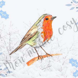 carte postale  cosy rouge gorge hiver