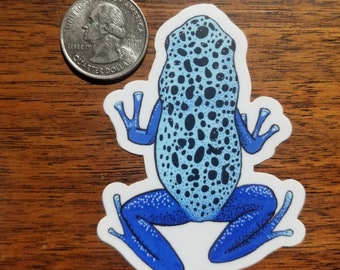 Dendrobates Tinctorius Sticker ~~ Poison Dart Frog ~~ Blue Dart Frog ~~ Amphibian ~~ Hand Drawn ~~ 3INCH ~~ Free Shipping
