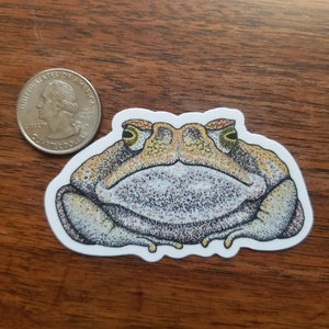 May include: A sticker featuring a detailed illustration of a frog. The frog is primarily tan and brown with yellow eyes and a white outline. A U.S. quarter is next to the sticker for size comparison. The sticker is on a wooden surface.