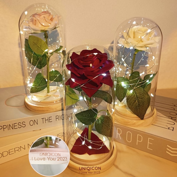 Rose in Glass Dome Etsy
