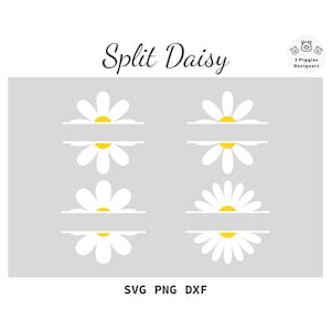 May include: Four white daisy flowers with yellow centres are split in half horizontally. The flowers are on a grey background. The text "Split Daisy" is at the top of the image. The text "SVG PNG DXF" is at the bottom of the image.