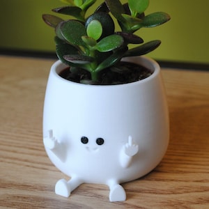 Maceta de dedo medio: Maceta blanca de interior impresa en 3D