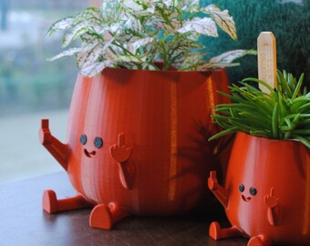 Alles Gute zum Mittelfinger Planter! Farbe: TerraCotta, Kawaii Pflanzer, Pflanzer Nettes Gesicht, Sukkulenten Pflanzer, Indoor Pflanzer, Happy Face Blumentopf