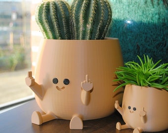 Happy Middle Finger Planter! Color: Brown, Kawaii Planter,Planter Cute Face,Succulent Planter,Indoor Planter,Happy Face Plant Pot,Flower Pot