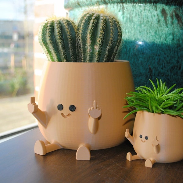 Alles Gute zum Mittelfinger Planter! Farbe: Braun, Kawaii Pflanzer, Pflanzer Nettes Gesicht, Sukkulenten Pflanzer, Indoor Pflanzer, Glückliches Gesicht Pflanzentopf, Blumentopf