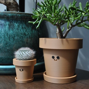 May include: Three potted plants, a cactus, a succulent, and a jade plant, all in terracotta pots with painted smiley faces. The pots are on a wooden surface.