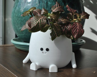 Happy Face-plantenpot: witte 3D-geprinte plantenbak voor binnen