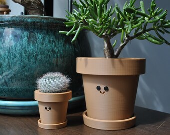 May include: Three potted plants, a cactus, a succulent, and a jade plant, all in terracotta pots with painted smiley faces. The pots are on a wooden surface.