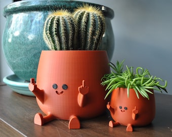 Middle Finger Plant Pot: Terracotta Indoor 3D Printed Planter
