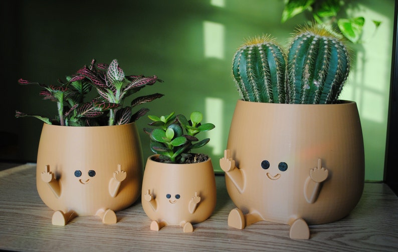 Happy Middle Finger Planter Color: Brown, Kawaii Planter,Planter Cute Face,Succulent Planter,Indoor Planter,Happy Face Plant Pot,Flower Pot image 3
