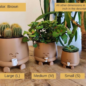 May include: Three brown ceramic plant pots of different sizes, each with a smiling face and holding a small cup. The largest pot contains cacti, the medium one has green plants, and the smallest has a succulent. Measurements in cm are in the description.