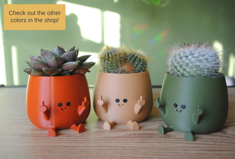 Happy Middle Finger Planter Color: Brown, Kawaii Planter,Planter Cute Face,Succulent Planter,Indoor Planter,Happy Face Plant Pot,Flower Pot image 7