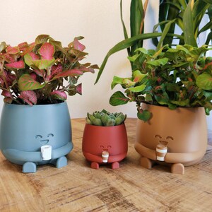May include: Three smiling plant pots in blue, red, and tan, each holding a small cup. The pots contain vibrant green and red plants. The pots are on a wooden table.
