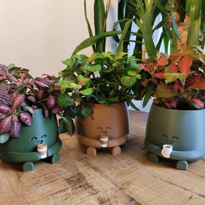May include: Three decorative plant pots in green, brown, and olive green, each holding a small plant with colourful foliage. The pots have a smiling face design and are holding a small coffee cup. The pots are sitting on a wooden table.