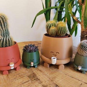 May include: Four quirky cactus pots in red, green, and tan, each with a smiling face and holding a small coffee cup. The pots are on a wooden surface, with various cacti and succulents inside.