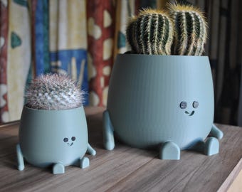 Happy Face Plant Pot: Pastel Green Indoor 3D Printed Planter