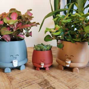 May include: Three quirky ceramic plant pots in blue, red, and tan, each with a smiling face and holding a small cup. The pots are filled with vibrant green and pink plants. The smallest pot holds a succulent. A fun, decorative item for home decor.