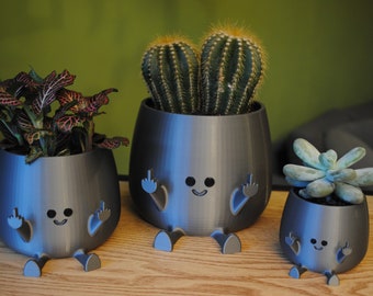 Happy Middle Finger Planter! Color: Gray, Kawaii Planter,Planter Cute Face,Succulent Planter,Indoor Planter,Happy Face Plant Pot,Flower Pot