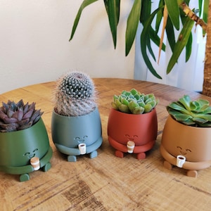 May include: Four colourful, egg-shaped planters with smiling faces, each holding a small coffee cup. The planters are green, blue, red, and tan, and contain succulents and a cactus. The planters are on a wooden table.