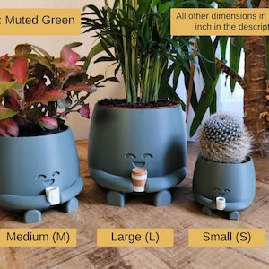 May include: Three muted green plant pots in different sizes, each with a smiling face and holding a small cup. The pots are labelled Medium, Large, and Small, and contain plants. The text "Color: Muted Green" is visible.